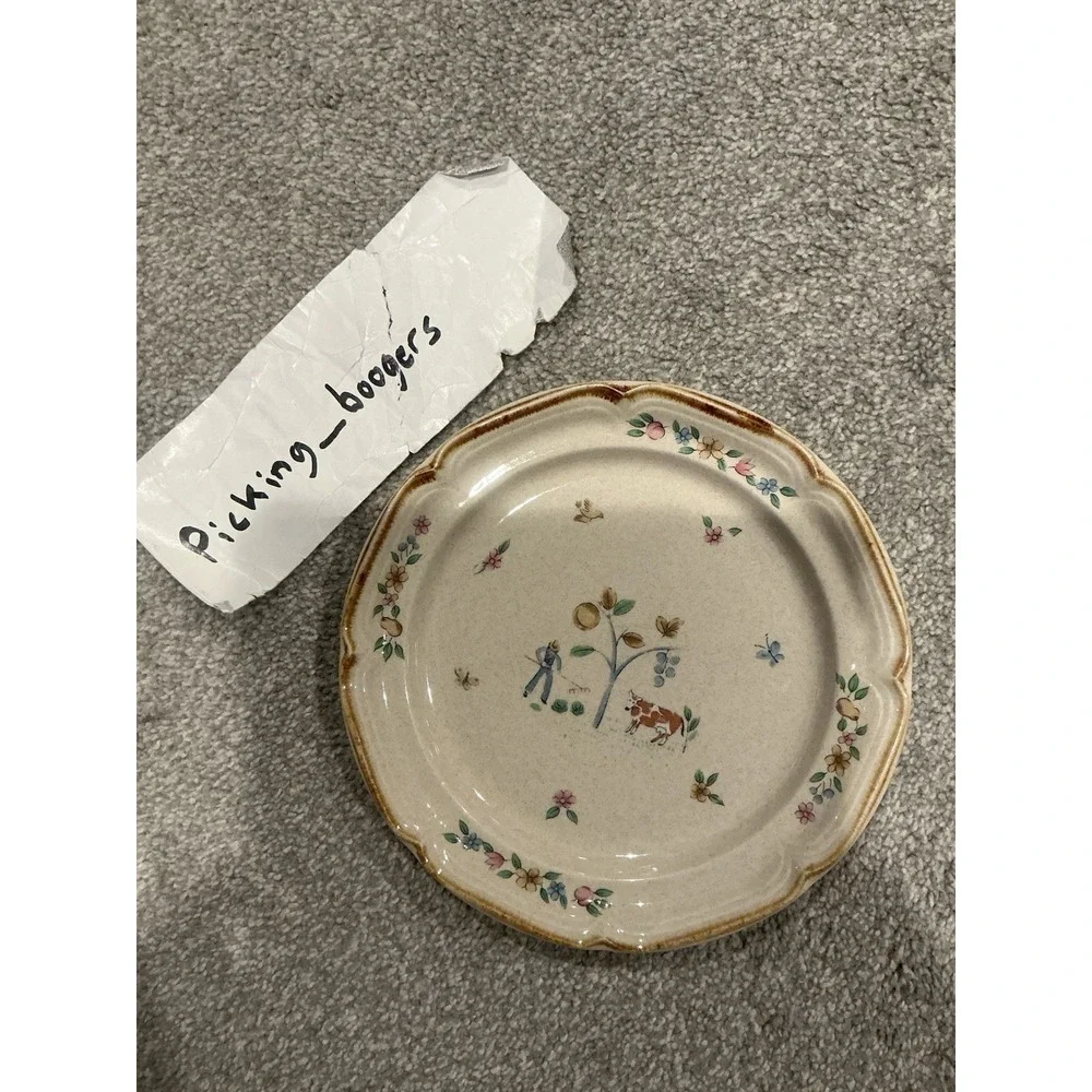 Set of 10 International Heartland Dinner Plate Farmhouse Country Stoneware Sakur